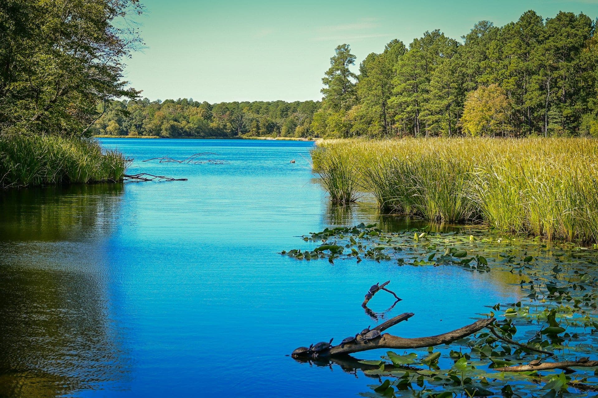 Replacement Windows & House Doors Tyler TX All Seasons